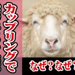 婚活カップリングで投票してもらえないのはなぜ?【2万人のリアル恋愛婚活相談】
