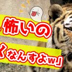 周りから言われるあなたの性格は？　35/50　【最初のトーク術マニュアル　きっかけ編】