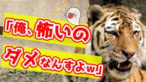 周りから言われるあなたの性格は？　35/50　【最初のトーク術マニュアル　きっかけ編】