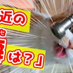 最近の癖はありますか？　36/50　【最初のトーク術マニュアル　きっかけ編】