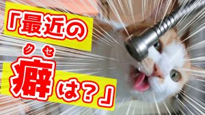 最近の癖はありますか？　36/50　【最初のトーク術マニュアル　きっかけ編】