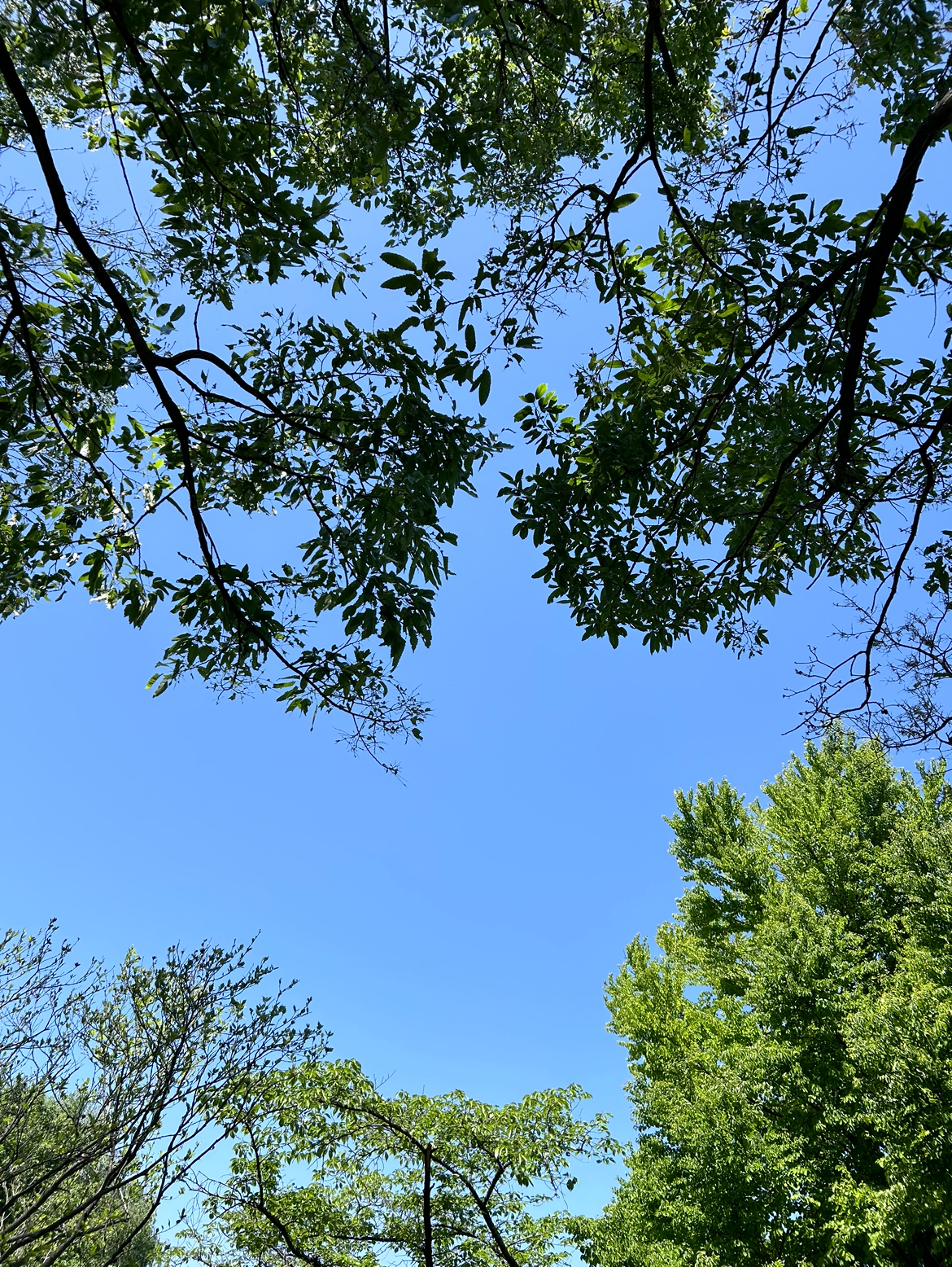 松本市、塩尻市、諏訪市、岡谷市、安曇野市、長野市、上田市、佐久市、小諸市、伊那市 入倉結婚相談所長野県松本市店