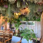 【Adorer Cafe】長野県内💖おすすめカフェレストラン情報