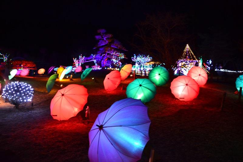 山中湖 花の都公園|イルミネーションファンタジウムの写真
