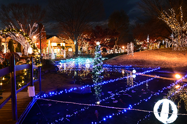 ハーブ庭園旅日記のイルミネーション写真