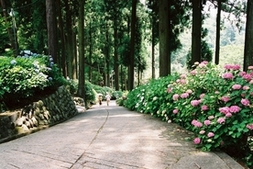 【富士川町×ð¸】徳栄山 妙法寺