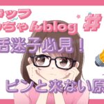 スタッフともちゃんblog #14 婚活迷子必見!ピンと来ない原因✨