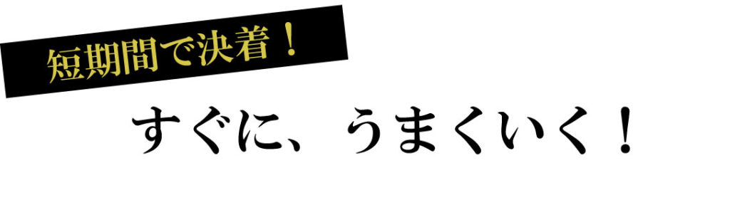 すぐにうまくいく、を後押しする入倉結婚相談所の解説画像