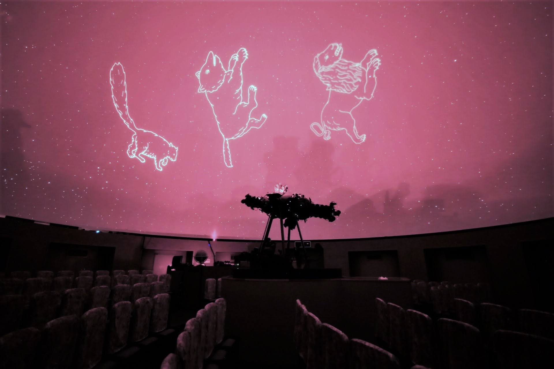 プラネタリウムの紹介画像