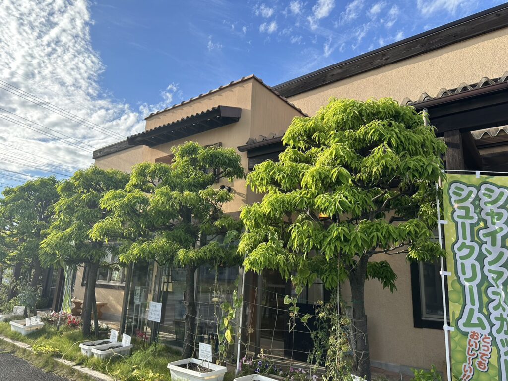 長野県になとりやさんちのたまごや工房あるの料理画像