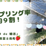 長野県富士見町「いちご狩り de  婚活」開催しました！